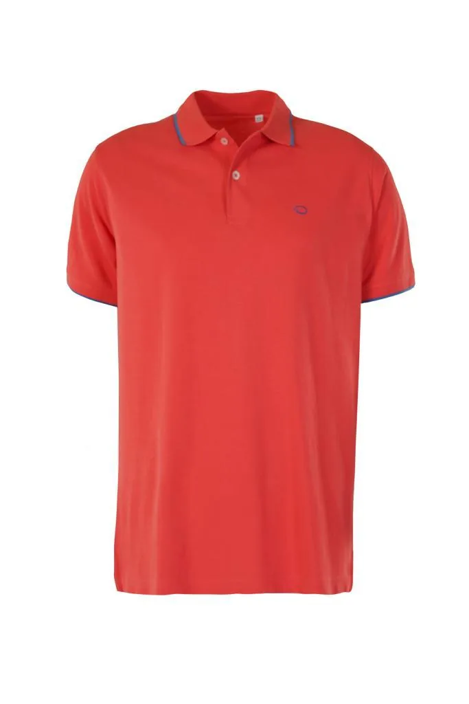Classic Tipped Collar Piqué Polo