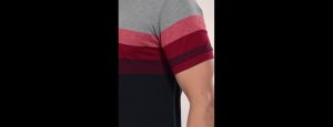Navy Blue, Red & Grey Colour  Polo Collar T-shirt - Thumbnail